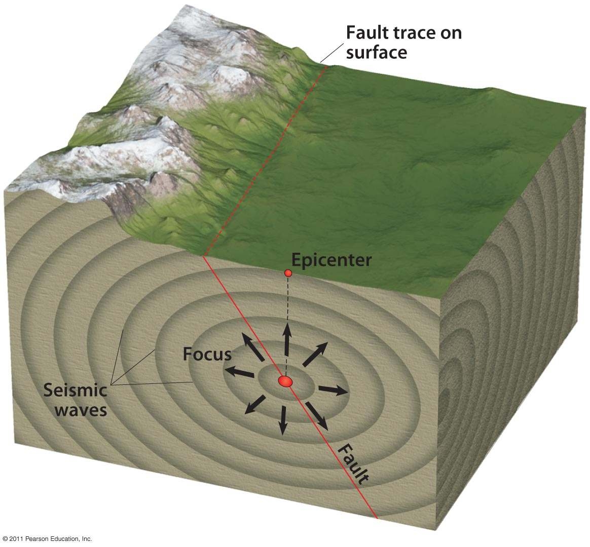 단층(fault)의 움직임이 지진을 일으킨다. 단층의 움직임이 진원(focus)에서 시작하여 밖으로 퍼져나가는 지진파(seismic waves)로 불리는 진동을 일으킨다. 진원 바로 위에 있는 지표면상의 지점이 진앙(epicenter)이다. 세계 도처에서 일어나는 지진의 대부분은 너무 작아서 사람들이 감지할 수 없지만, 인구 밀집지역에서 발생하는 더 큰 지진은 파괴적일 수 있다.