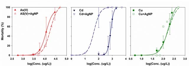 은나노 입자 (10㎍/L)에 따른 As(V), Cu, Cd의 24시간 급성 독성 변화