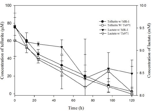 Kinetics of tellurite reduction and lactate assumption by Te971 and wild type
