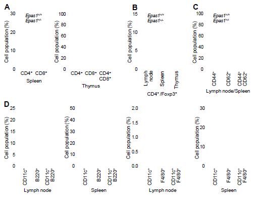 Epas1+/- DBA/1J mice show a normal pattern of immune cell development