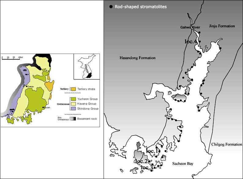 Fig. 1. Locality map of the Gyeongsang Supergroup where RSS (rod-shaped stromatolites)are found. Distribution map of the RSS from the Sacheon City, in this year research, are established