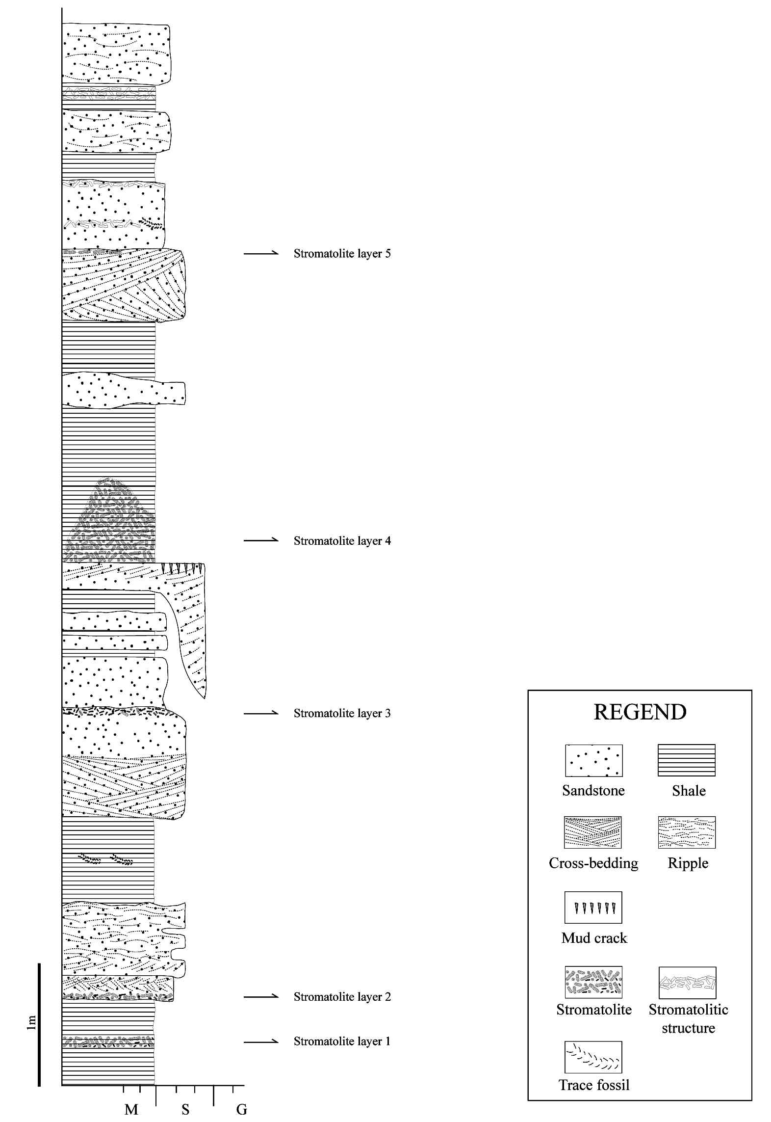 Fig. 4. Detailed columnar section of Seonjeon-ri outcrop containing a thick RSS bed. Lithology and diversified sedimentary structures are described. A total of 5 RSS beds are identified. Note a 50 cm RSS bed are overlain by coarse and cross-bedded sediments