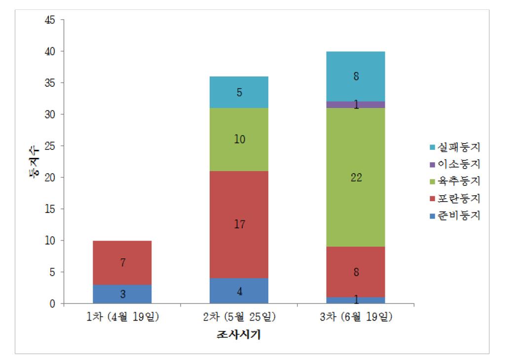 서만도 저어새의 시기에 따른 번식단계별 둥지수(2013년)