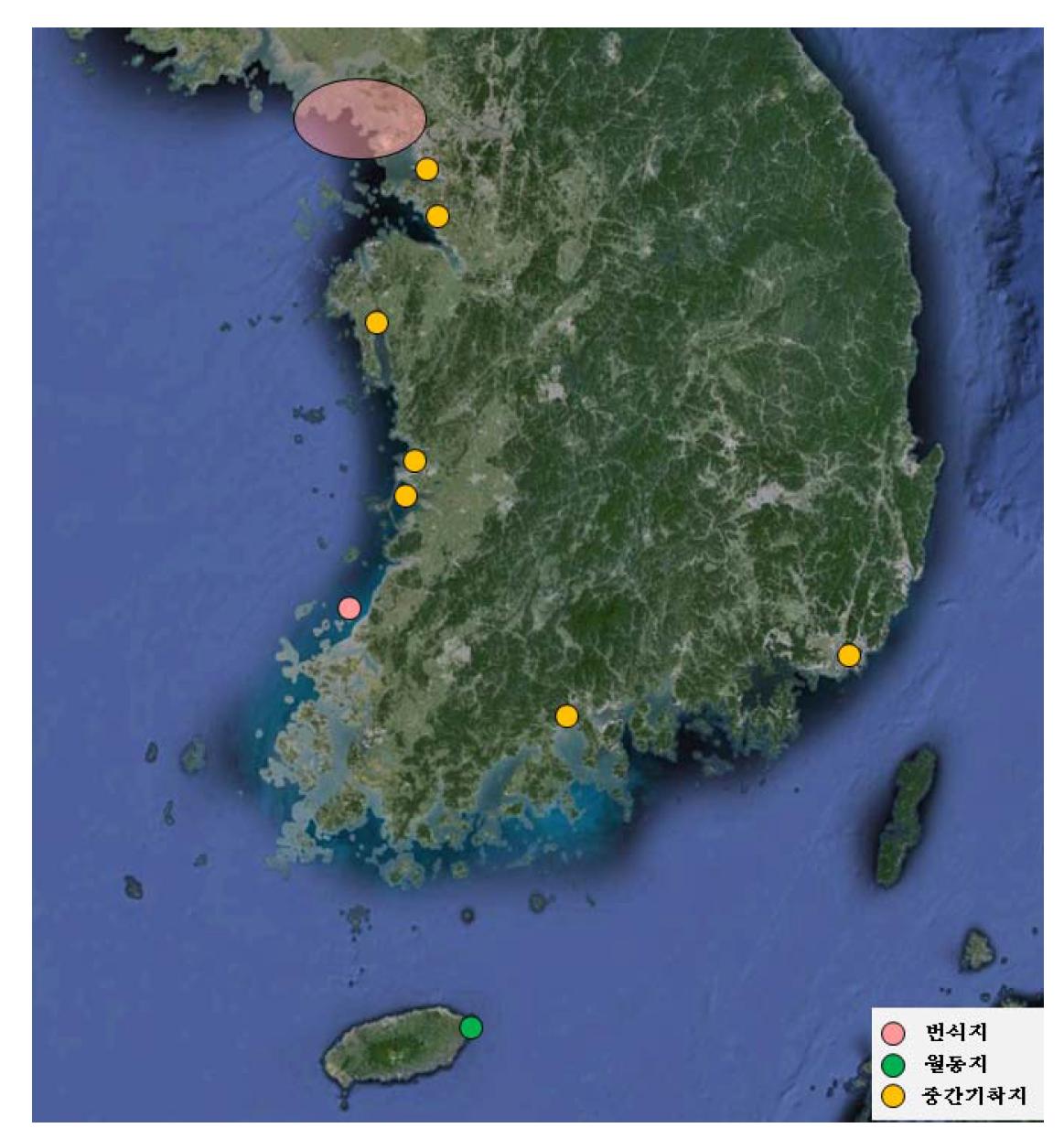 한국의 저어새 번식지, 월동지, 중간기착지 분포도