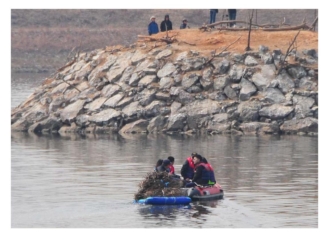 남동유수지 저어새섬에 둥지재료를 운반하는 모습