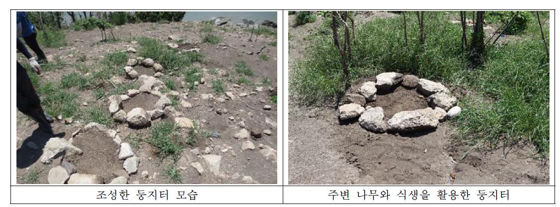 저어새 둥지터 조성 모습