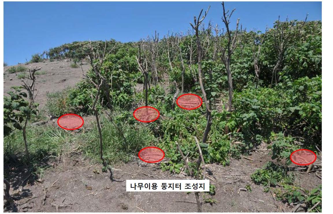 식생이 많은 지역의 나뭇가지를 이용한 둥지터 조성 위치