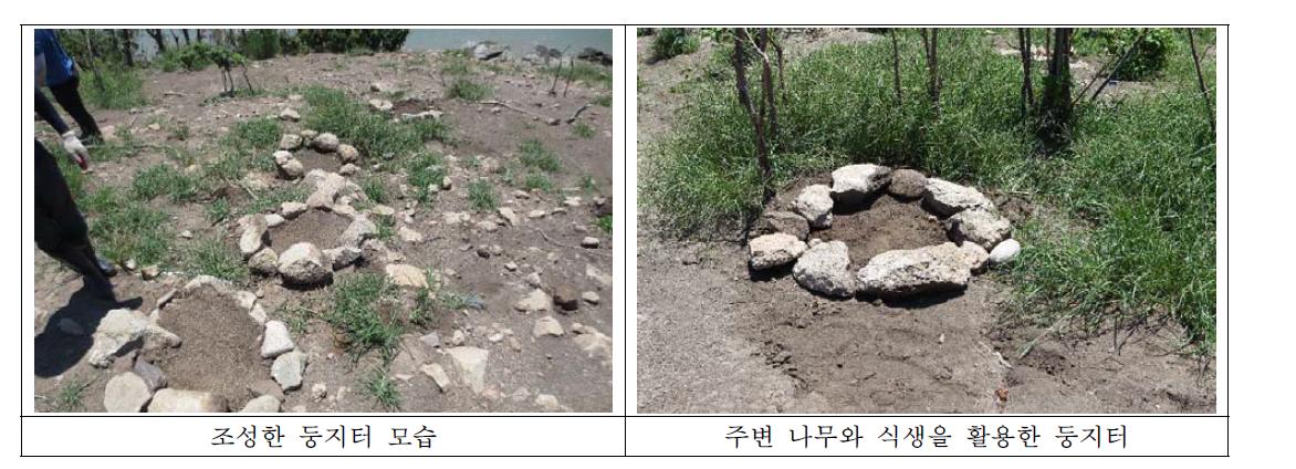 저어새 둥지터 조성 모습