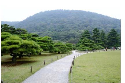 율림공원(栗林公園) : 자운산