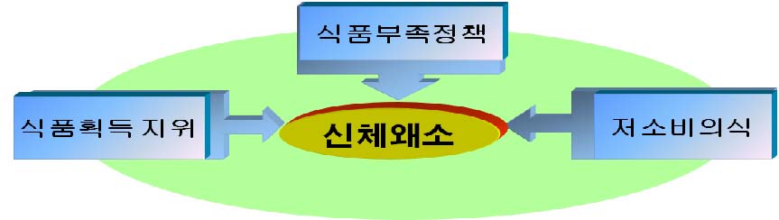 〔그림 7-1〕 북한사회 신체왜소 발생 요인