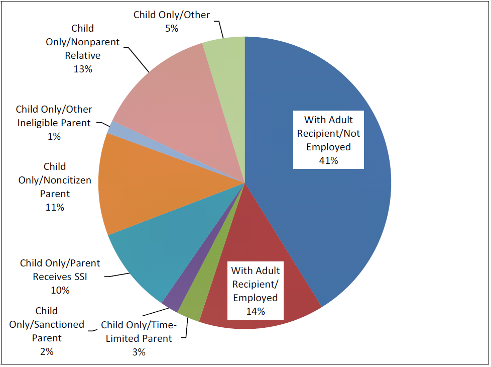 〔그림 2-8〕 TANF 수급가구의 유형 및 비율