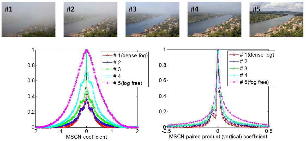 Distributions of MSCN and vertical paired product of MSCN coefficients on the various fog densities