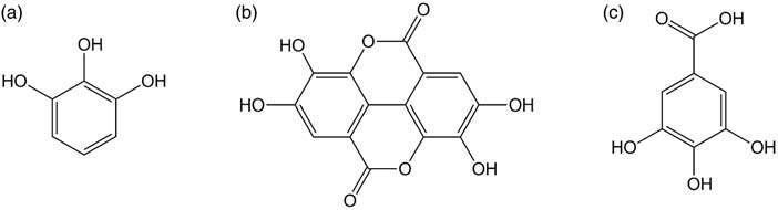 오배자 추출물의 주성분들; (a) pyrogallol, (b) ellagic acid, (c) gallic acid.