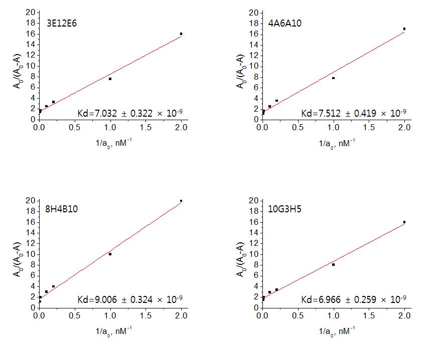 Klotz plot을 통한 최종 선정된 4종의 단클론 항체의 해리 상수 (Kd) 결정