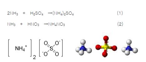 황산암모늄 모식도