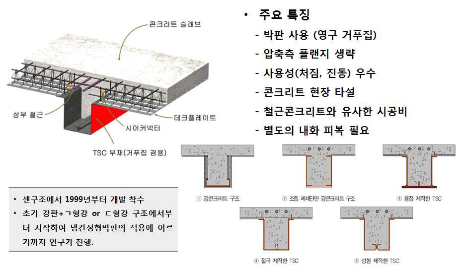 TSC Beam 의 개념