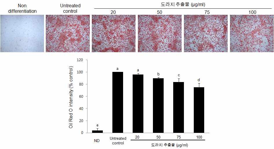 Fig. 2에 대한 고찰.