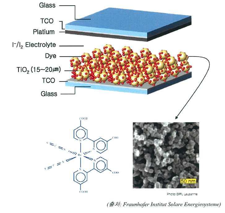 염료감응형 태양전지의 구조 및 루테늄계 염료 구조