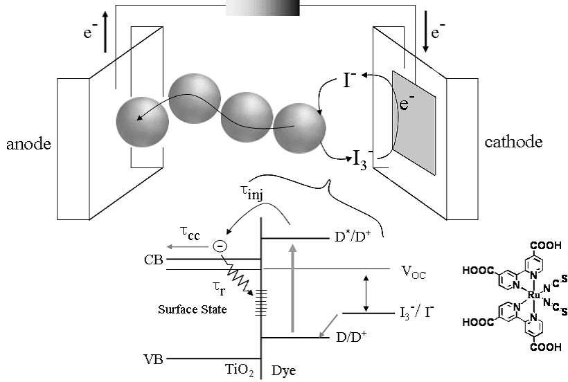 염료감응형 태양전지의 작동 원리