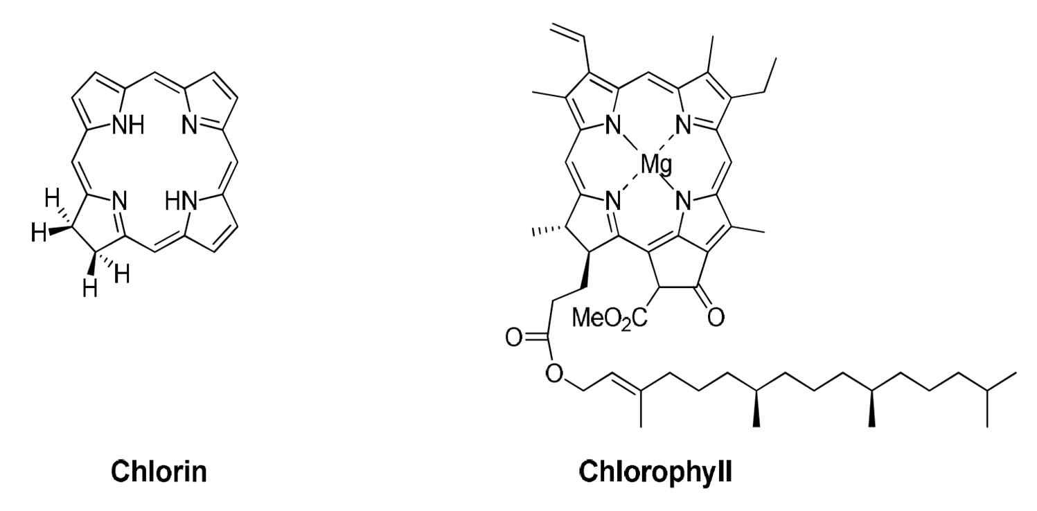 Chlorin과 chlorophyll의 구조