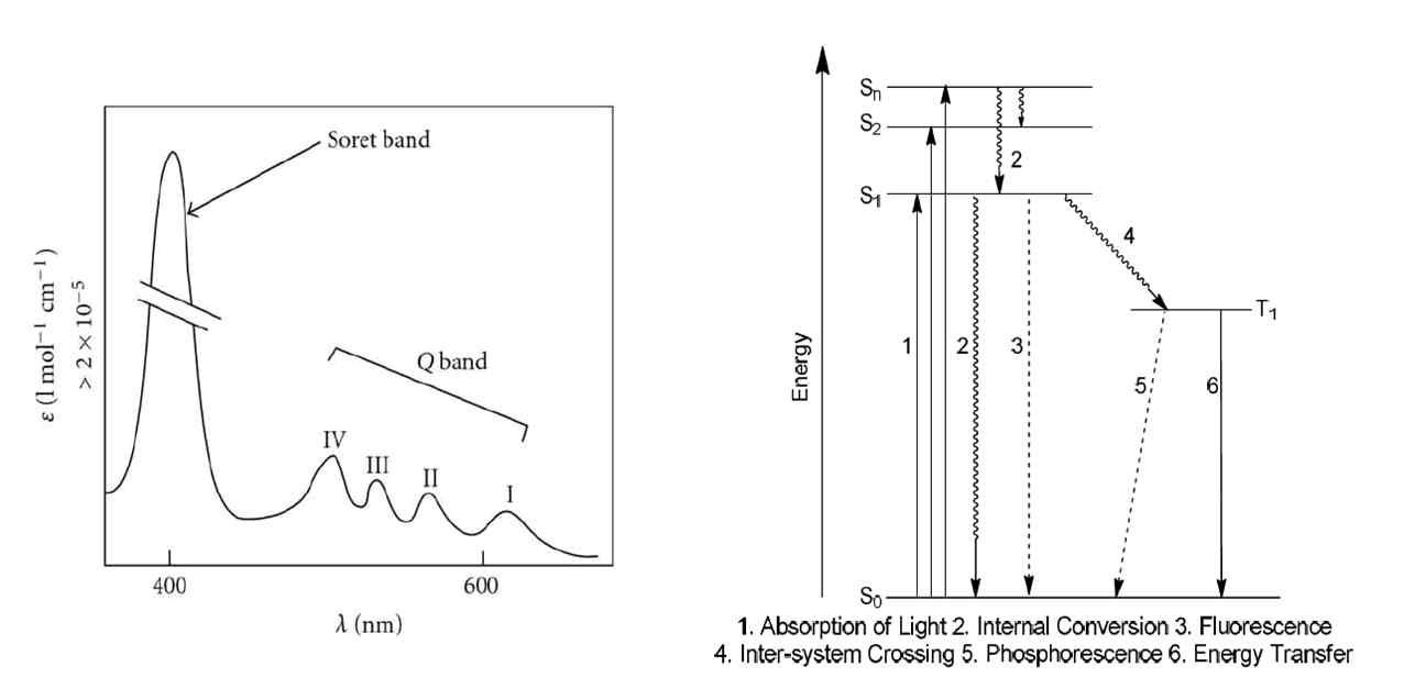 포피린의 일반적인 흡수스펙트럼 및 Jablonski diagram