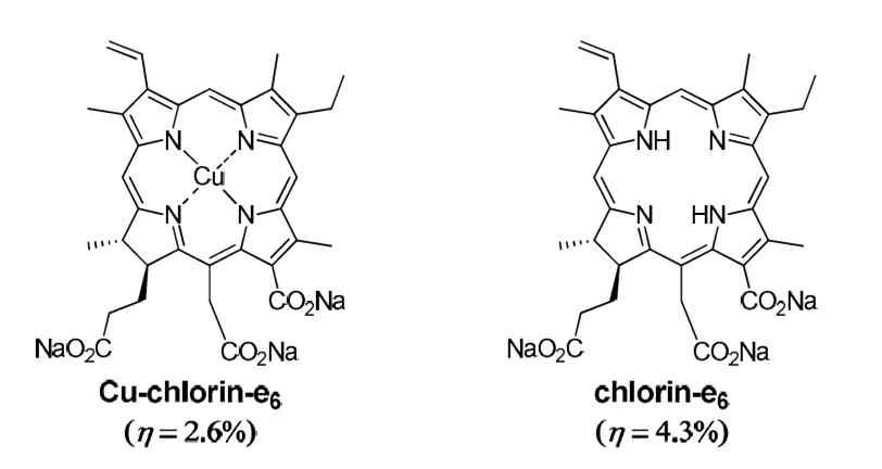 최초로 태양전지의 염료로 사용된 Cu-chlorin-e6와 chlorin-e6의 구조