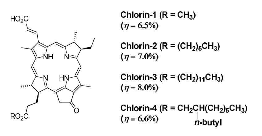 높은 에너지 변환 효율을 갖는 chlorin 유도체의 구조