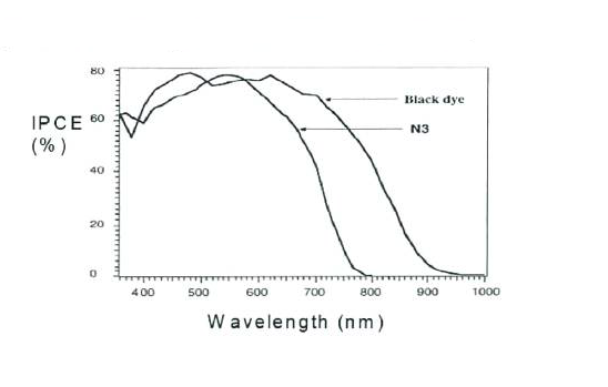 N3 염료 및 Black dye를 사용한 DSSC에서 IPCE 측정 결과