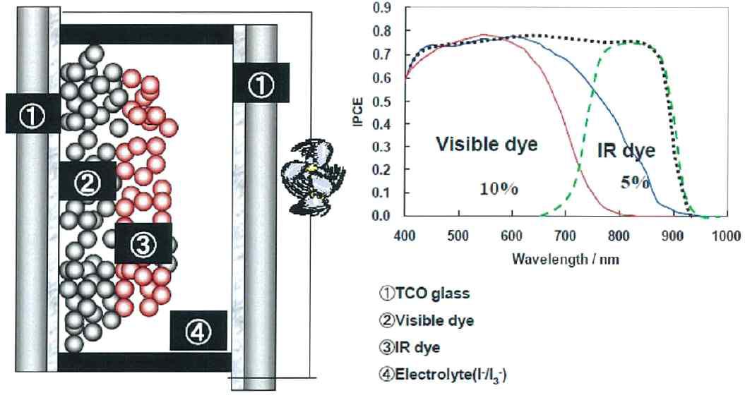 Double dye layer cell 구조