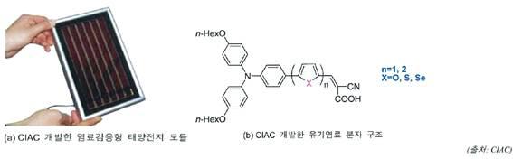 CIAC 개발한 염료감응형 태양전지 모듈(a)과 유기염료 분자 구조(b)