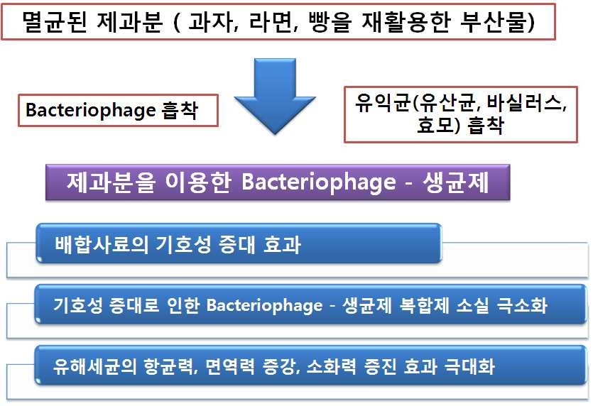 Fig. 2. 발효된 제과분을 이용한 bacteriophage?생균제 복합제 공정도 및 효과