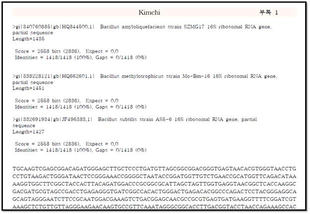 Fig. 5. Universal primer를 이용한 16S-rRNA Squencing 방법