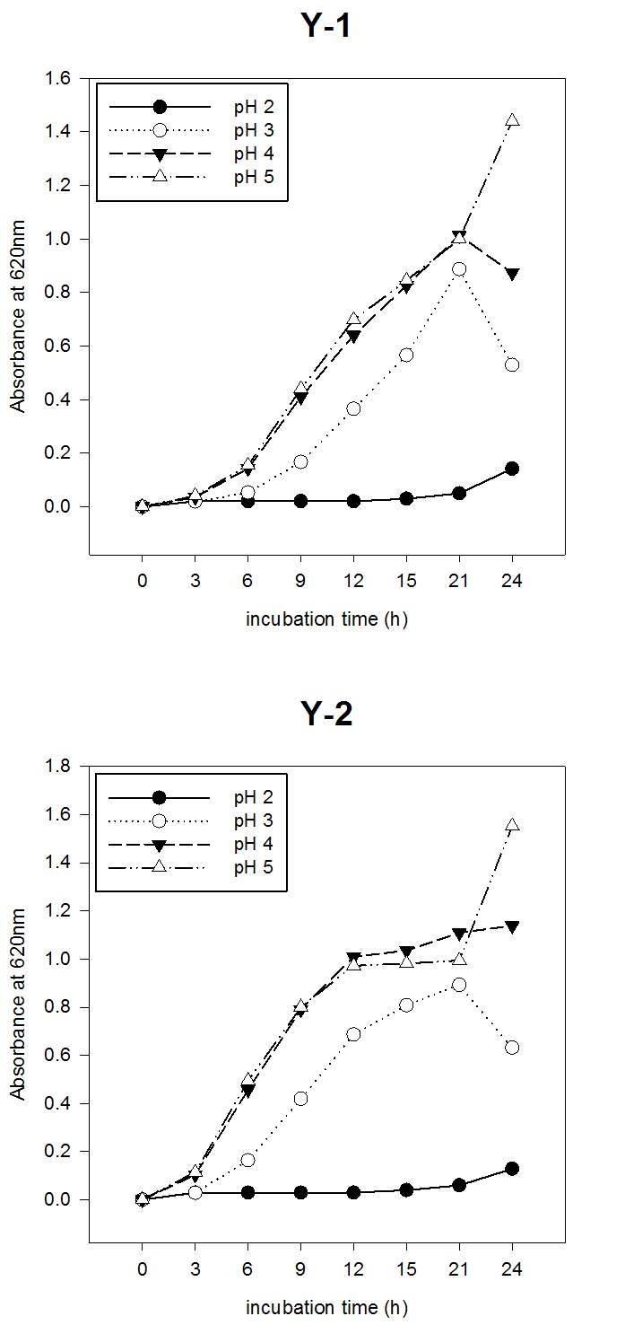 Fig. 9. Yeast 그룹에 대한 pH 2, 3, 4, 5 내산성 평가