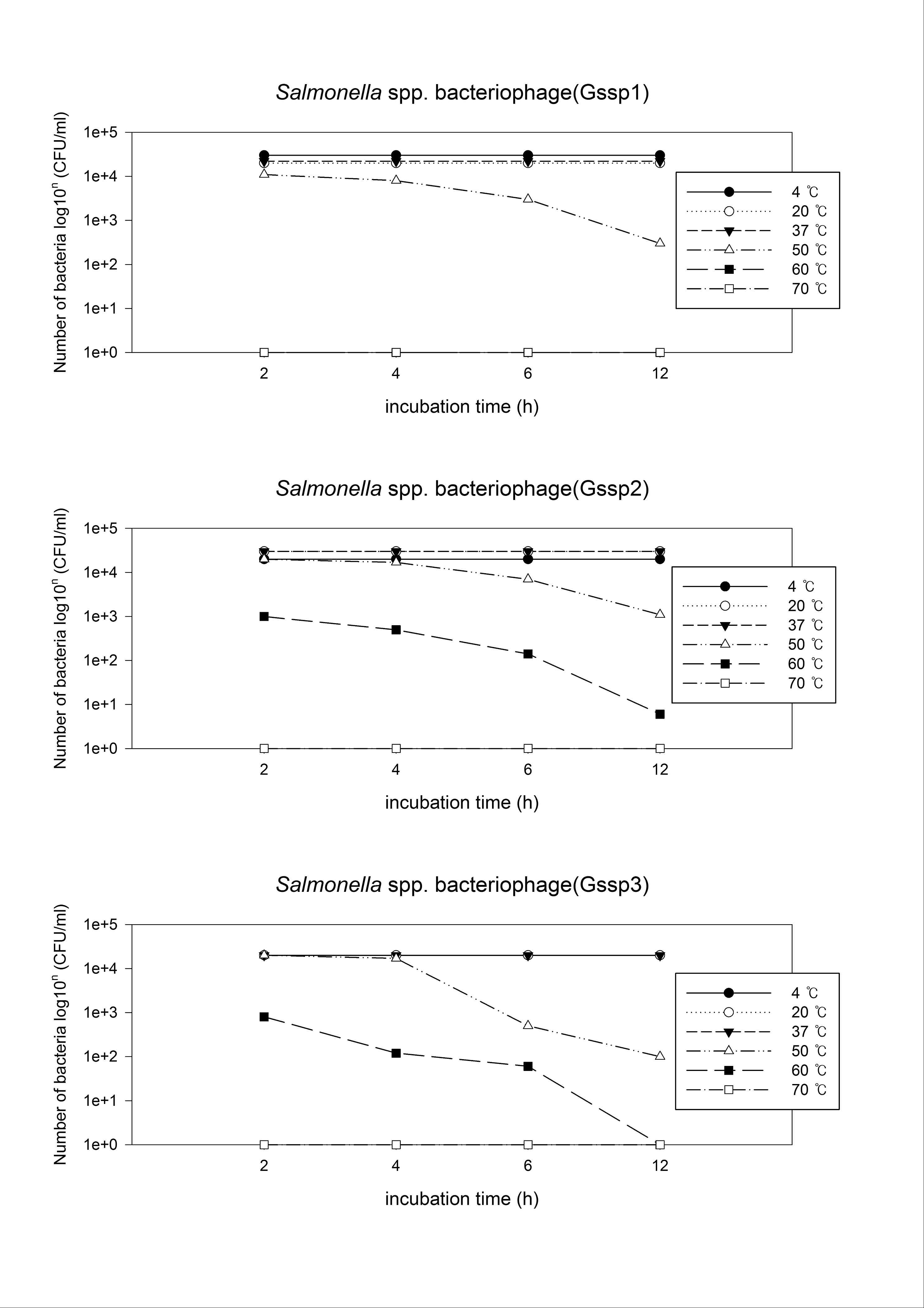 Fig. 21. Salmonella spp.로부터 분리된 Bacteriophage의 각 온도별에 대한 열 안정성 평가