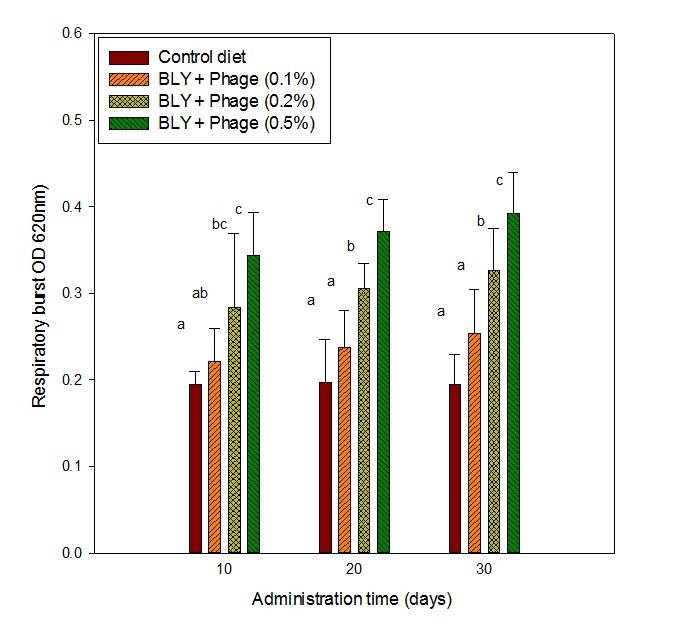 Fig. 27. Effect of BLY and phage mixture on a respiratory burst activity of HK leukocytes from broiler chicks fed BLY and phage mixture supplemented diet for 30 days