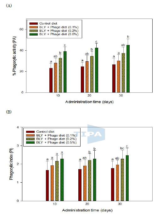 Fig. 28. Phagocytic activity (A) and phagocytic index (B) of leukocytes from broiler chicks fed BLY and phage mixture supplemented diet for 30 days