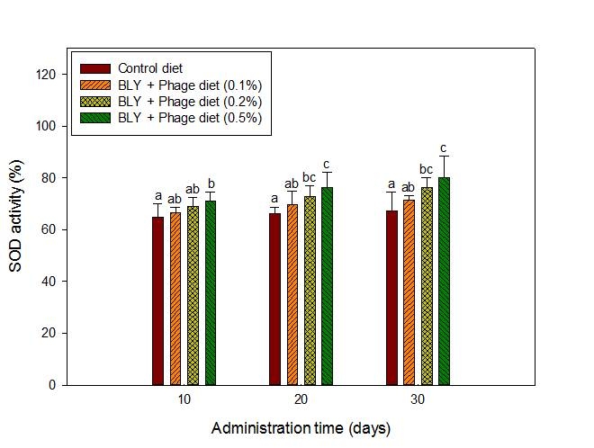 Fig. 30. Effect of BLY and phage mixture on a SOD activity in liver tissue of broiler chicks fed BLY and phage mixture supplemented diet for 30 days