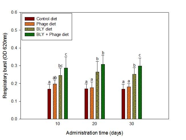 Fig. 31. Respiratory burst activity of HK leukocytes from broiler chicks fed the control diet, phage diet, Bacillus spp., Lactobacillus spp., Yeast spp. diet, Bacillus spp., Lactobacillus spp., Yeast spp. and phage mixture diet for 30 days