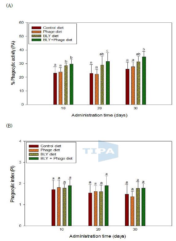 Fig. 32. Phagocytic activity (A) and phagocytic index (B) of HK leukocytes from broiler chicks fed the control diet, phage diet, Bacillus spp., Lactobacillus spp., Yeast spp. diet, Bacillus spp., Lactobacillus spp., Yeast spp. and phage mixture diet for 30 days