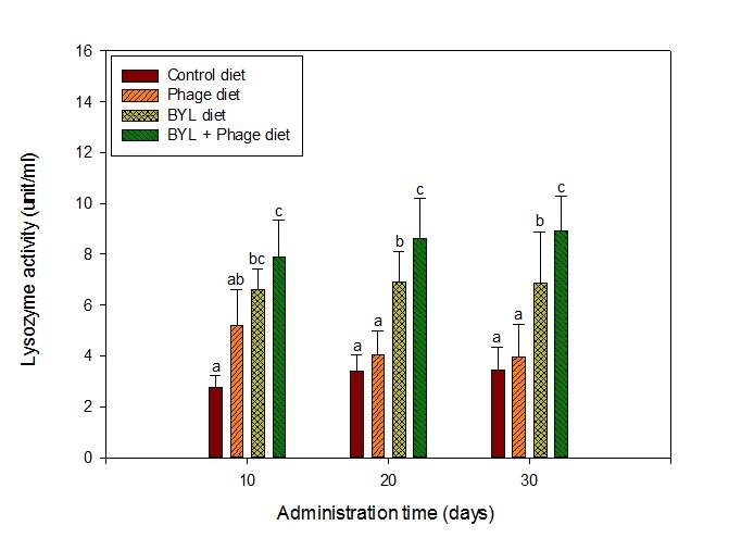 Fig. 33. Lysozyme activity in serum of broiler chicks fed the control diet, phage diet, Bacillus spp., Lactobacillus spp., Yeast spp. diet, Bacillus spp., Lactobacillus spp., Yeast spp. and phage mixture diet for 30 days