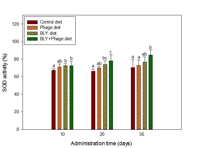 Fig. 34. SOD activity in liver tissue of broiler chicks fed the control diet, phage diet, Bacillus spp., Lactobacillus spp., Yeast spp. diet, Bacillus spp., Lactobacillus spp, Yeast spp. and phage mixture diet for 30 days