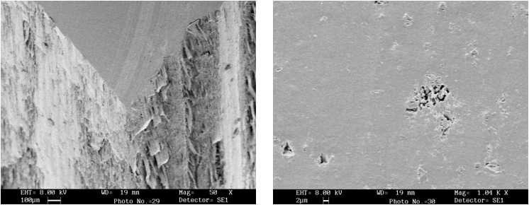 Fig. 3. SEM Image of Top and side edge of Oriented CaCO3/PP Composite