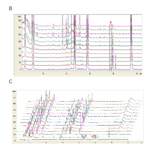 그림 15. 엉겅퀴 잎 유래 flavonoid계열 활성물질의 HPLC chromatograms.