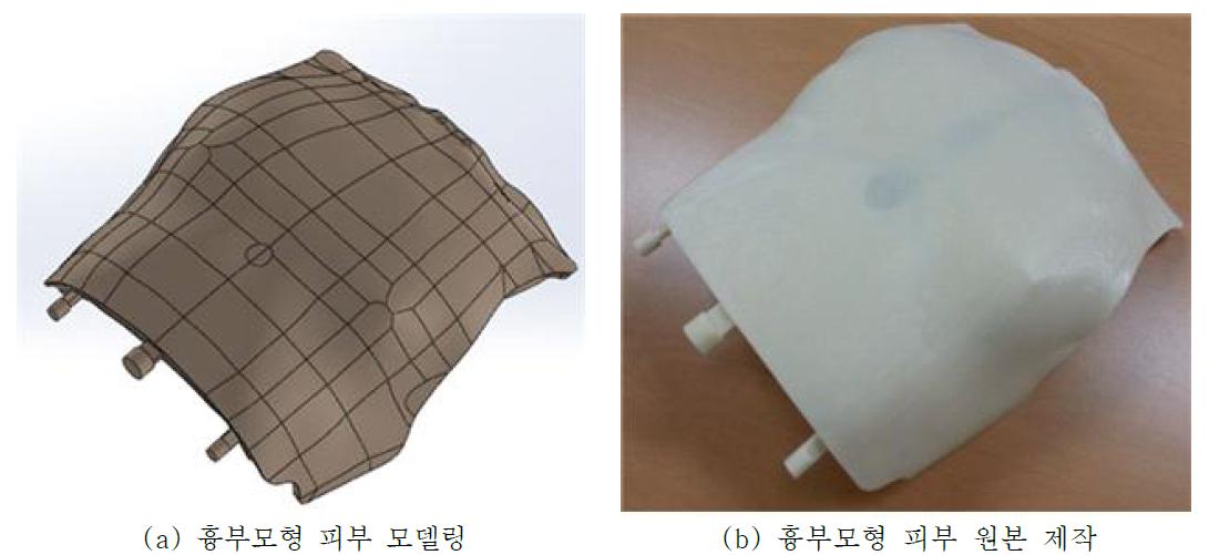 흉부모형 피부 개발