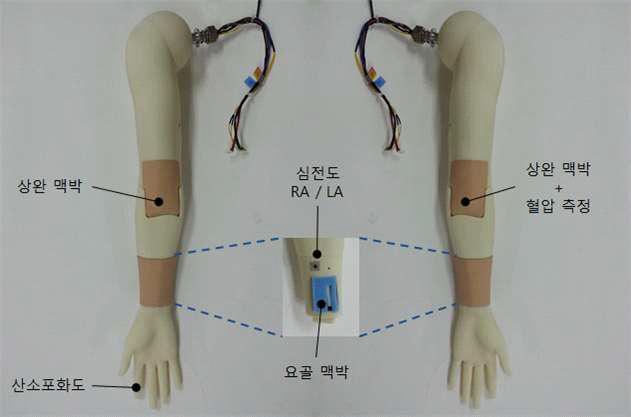 팔모형 조립