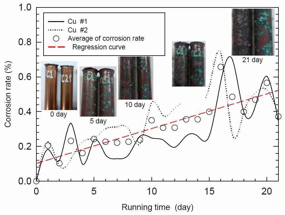 그림 2.20 동관(C1220T)의 부식량 결과