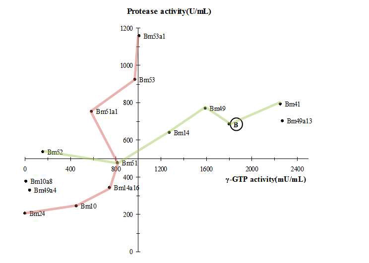 Fig. 1. 항균성실험을 위한 Bacillus subtilis B 변이주의 선정.