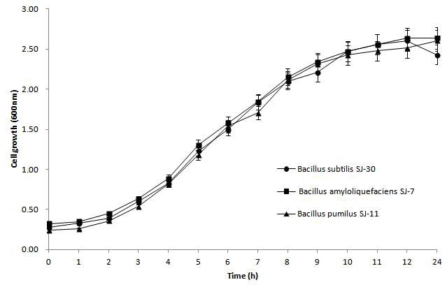 Fig. 2. 선발균주의 생육도.