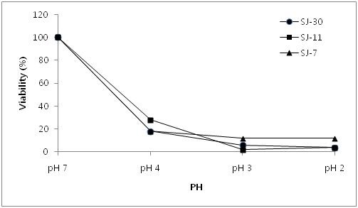 Fig. 6. 선발균주의 내산성