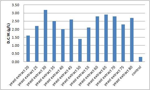 Fig. 11. yeast extract의 농도에 따른 Bacillus subtilis SJ-30의 건조 중량
